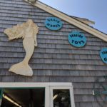 Wellfleet Marine
