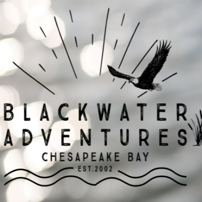 Blackwater Adventures