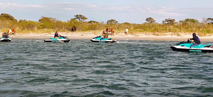 marinaBoat