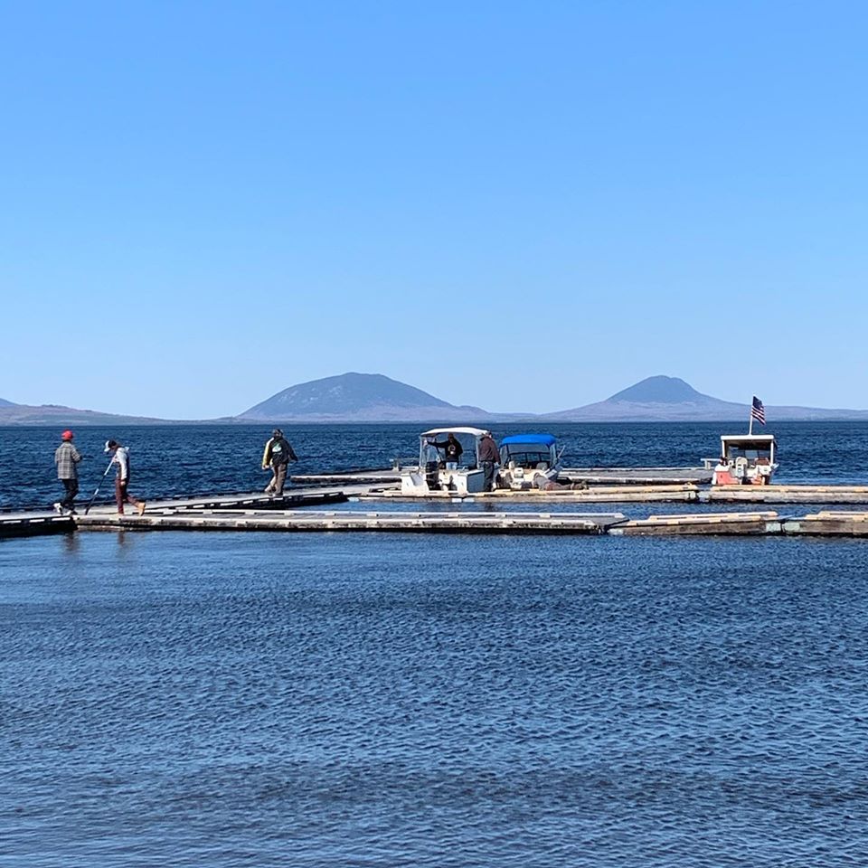 marinaBoat