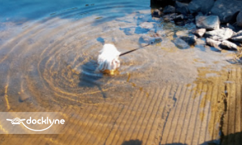 BoatSebecLake.com boat rental operation on Belgrade Lakes, ME 3