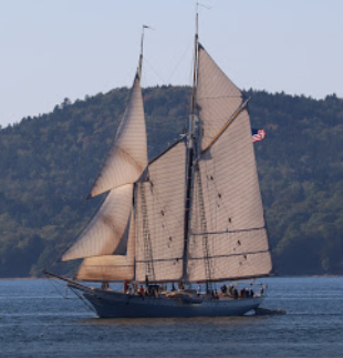 marinaBoat