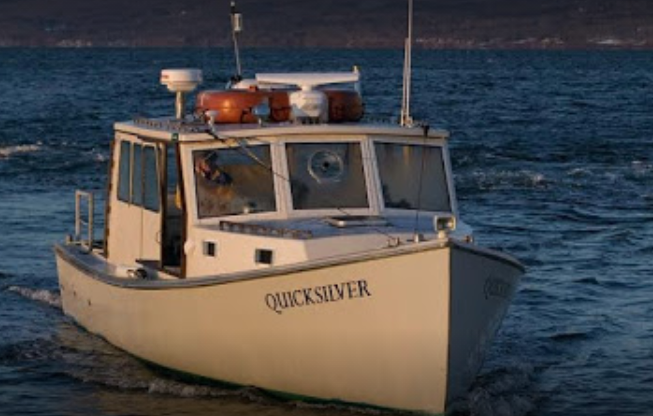 marinaBoat