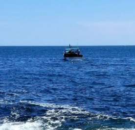 marinaBoat