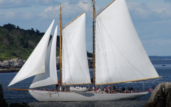marinaDetail