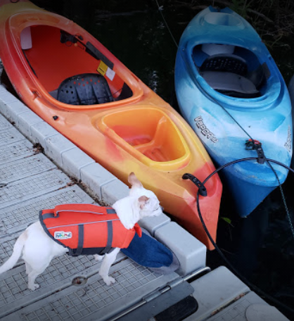marinaBoat