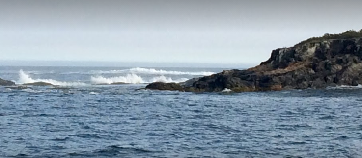 marinaBoat