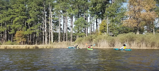 marinaBoat