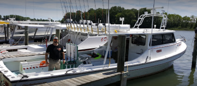 marinaBoat