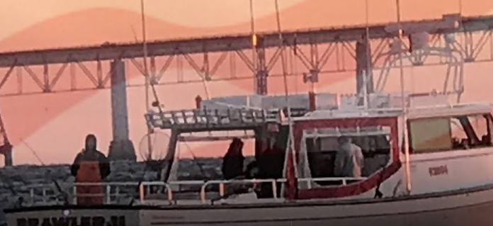 marinaBoat