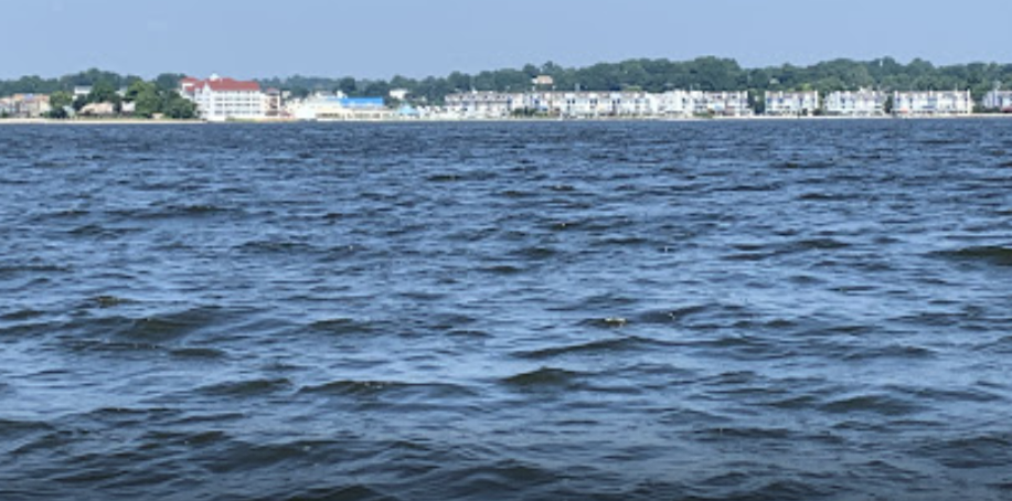 marinaBoat