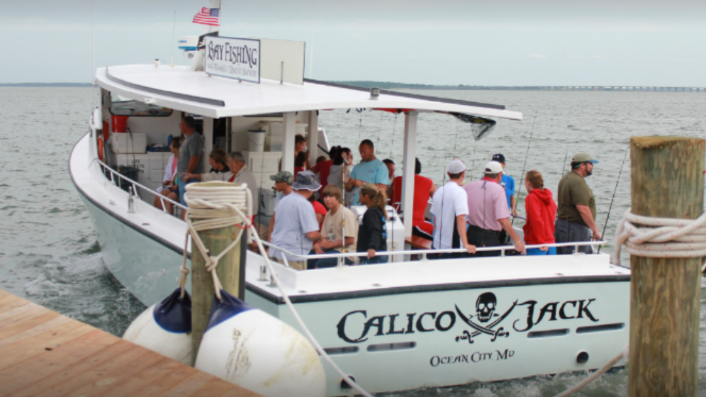 marinaBoat