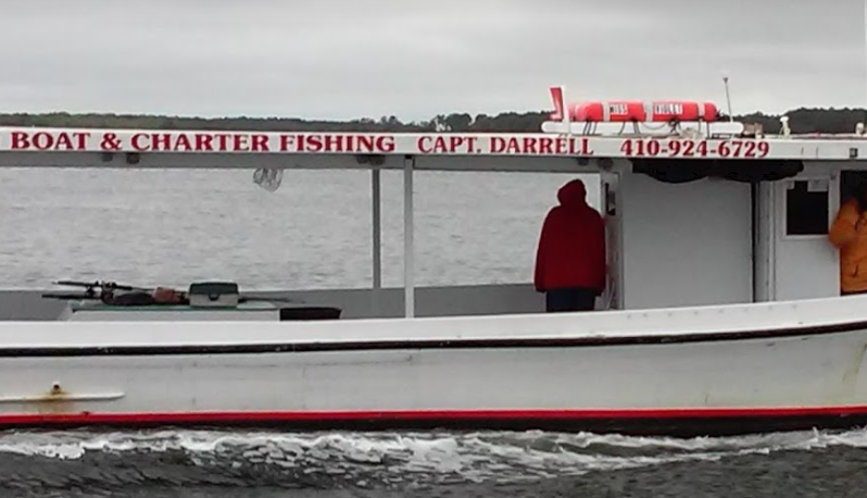 marinaBoat