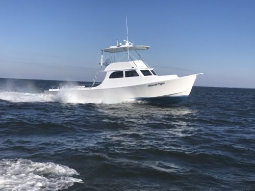 marinaBoat