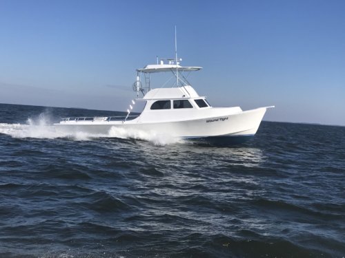 marinaDetail