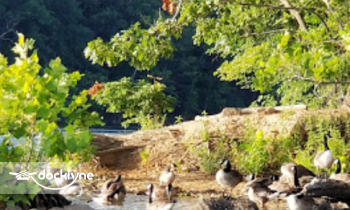 Loch Raven Fishing Center boat rental operation on Annapolis, MD 2