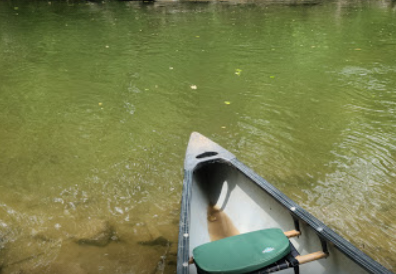 marinaBoat