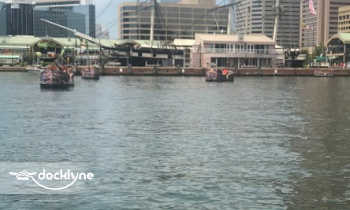 paddle boats boat rental operation on Baltimore, MD 2