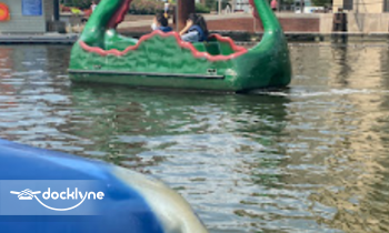 paddle boats boat rental operation on Baltimore, MD 5