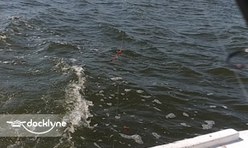 Captain Price Charters boat rental operation on Chester, MD 5