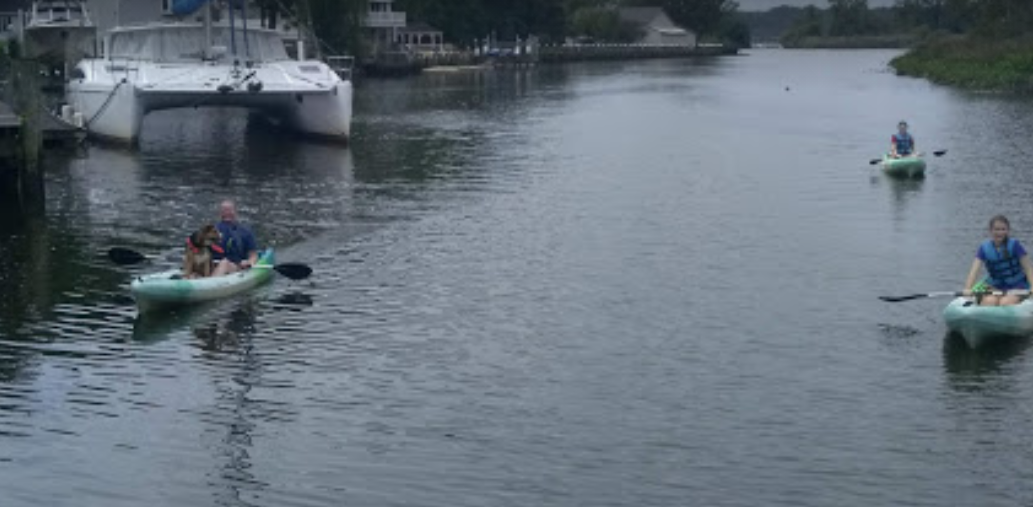 marinaBoat