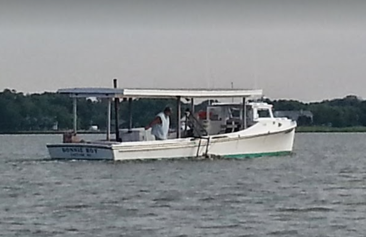 marinaBoat