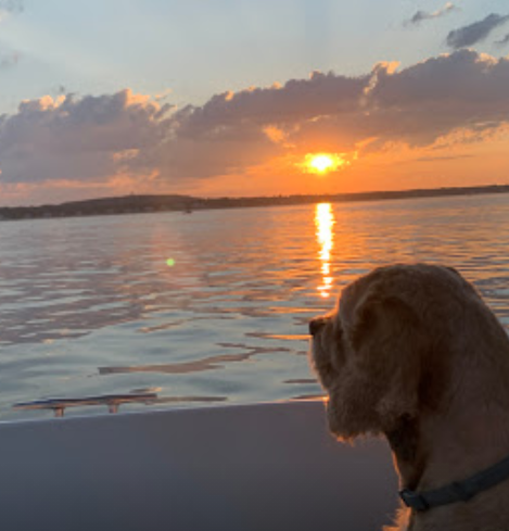 marinaBoat