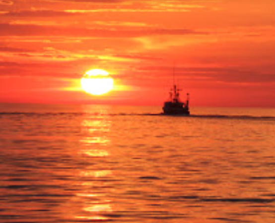 marinaBoat