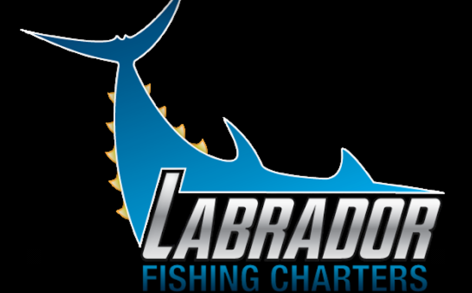 marinaBoat