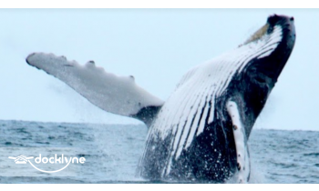 Labrador Fishing Charters boat rental operation on Scituate, MA 5