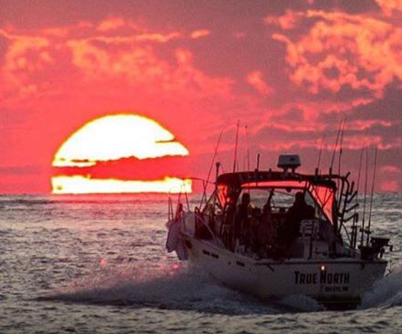 marinaBoat