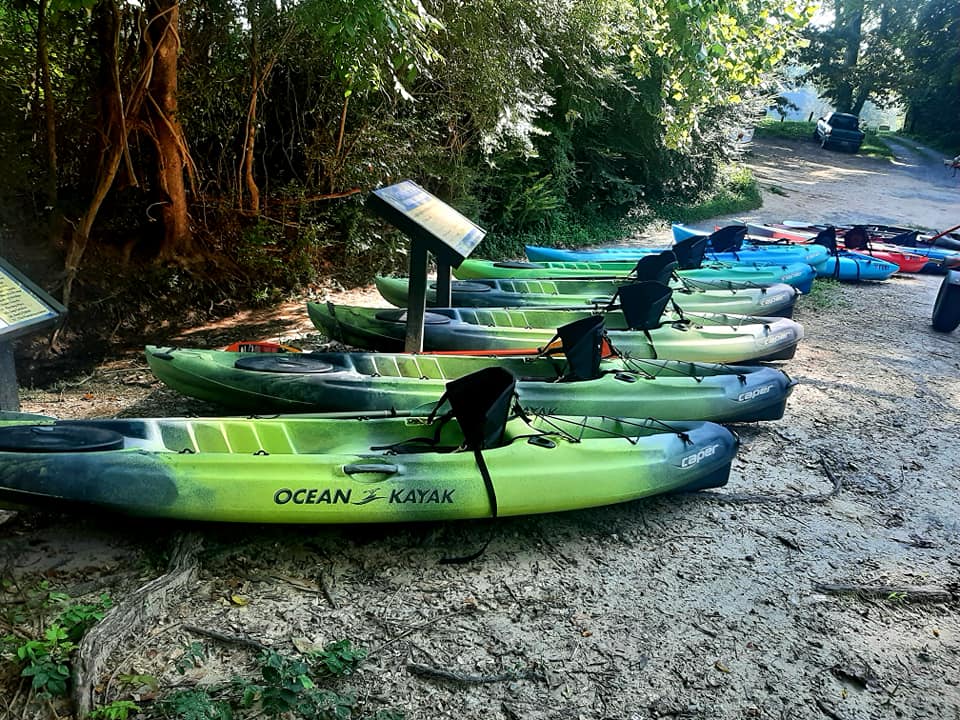 marinaBoat