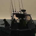 marinaBoat