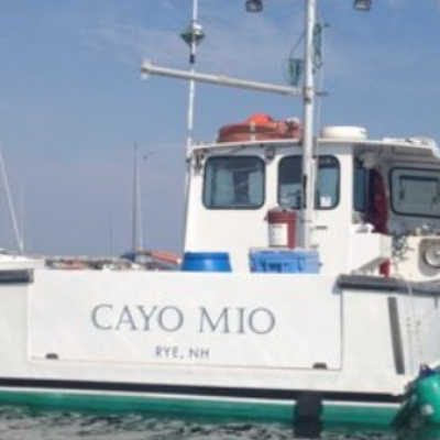 marinaDetail