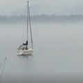 marinaImage