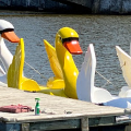 marinaImage