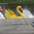 marinaImage