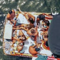 marinaBoat
