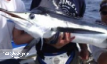 Fat Cat Sport Fishing boat rental operation on Neptune City, NJ 1
