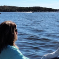 marinaBoat