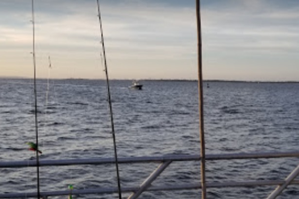 marinaBoat