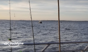 Mi-Jo Charter Fishing Boat and Cruises boat rental operation on , NJ 4
