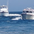 marinaBoat