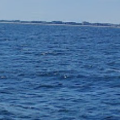 marinaBoat