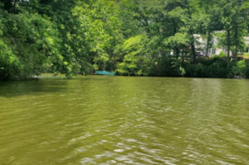 marinaBoat