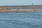 marinaBoat
