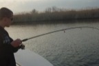 marinaBoat