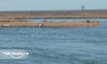Reel Fantasea Fishing Charters boat rental operation on Barnegat Light, NJ 4