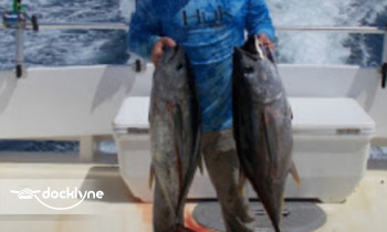 Stray Cat Charters boat rental operation on , CA 5
