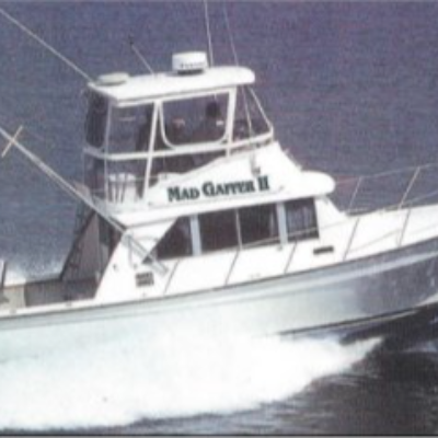 marinaDetail